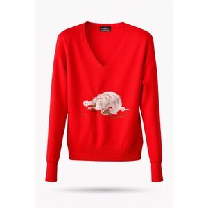 Arkansas Razorbacks Embroidered Sweater Large Women's M M Cohn